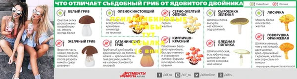 мескалин Каменка