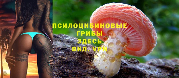 синтетический гашиш Каменск-Шахтинский