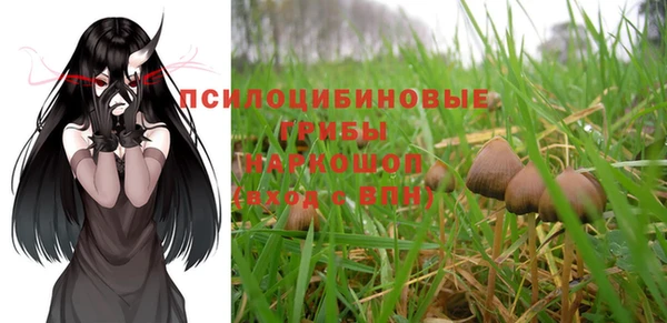 мескалин Каменка