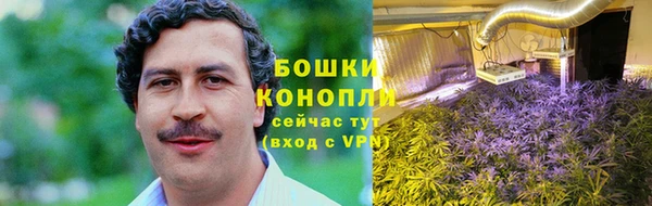 мяу мяу мука Каменногорск