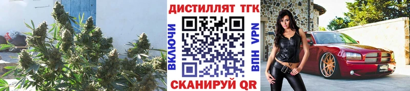 Дистиллят ТГК Wax  Купить  Людиново 